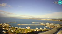 Roses - Port