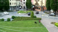 Sarnico - Fontanna