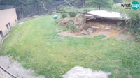Ljubljana - ZOO