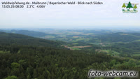 Maibrunn - Waldwipfelweg - Foresta Bavarese