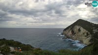 Ponza - Cala Cecata