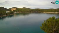 Hvaras - Vira