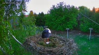 Miniaturansicht