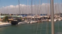 Fiumicino - Tevere - Nautilus Marina