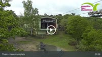 Thale - Seilbahnen