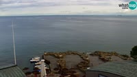 Portorož - Fiesa
