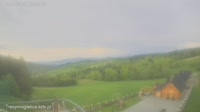 Zalesie - Mogielnica