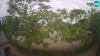 Sisak - Kupa