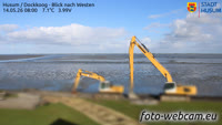 Husum - Dockkoog