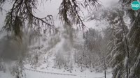 Kranjska Gora - Erjavčeva - Vršič
