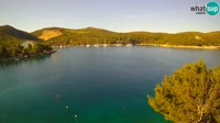 Hvar - Vira