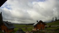 Oberharz am Brocken - Tanne