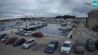 Novigrad - Porporela Marina