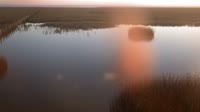 Parque nacional y natural de Doñana - Caño de Rosalimán