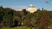 Miniatiūra