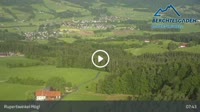 Miniatiūra