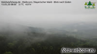 Maibrunn - Waldwipfelweg - Bayerischer Wald