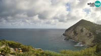 Ponza - Cala Cecata