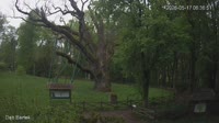 Zagnańsk - Bartekas