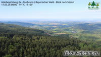 Maibrunn - Waldwipfelweg - Foresta Bavarese