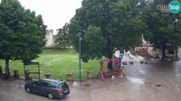 Miniatura