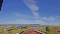 Root - Vista panoramica