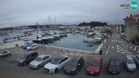 Novigrad - Porporela Marina