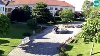 Miniatura