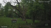Zagnańsk - Bartek