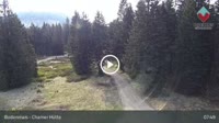 Bodenmais - Chamer Hütte