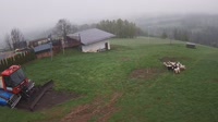 Czerwienne
