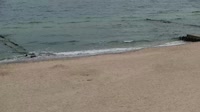 Sarbinowo - Beach