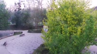 Tężnie