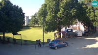 Svetvinčenat - Gradski Trg