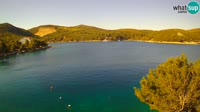 Hvaras - Vira