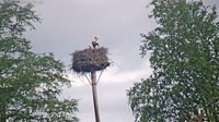 Grabenstätt - Winkl - Storks