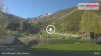 Sierra Nevada - Mirlo Blanco