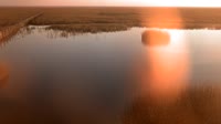 Parque nacional y natural de Doñana - Caño de Rosalimán