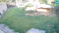 Lublana - ZOO