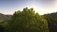 Bosia - Panorama