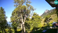 Tolminske Ravne - Planina Razor - Migovec