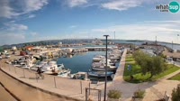 Tkon - Marina