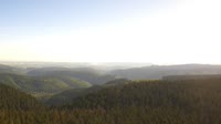 Schneekopf - Bosque de Turingia