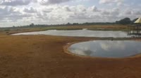 Voi - Parco nazionale dello Tsavo