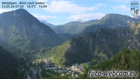 Wildalpen - Löwekogel