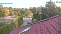 Rąbień - Staw