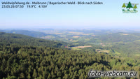 Maibrunn - Waldwipfelweg - Bosque de Baviera