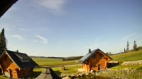 Oberharz am Brocken - Tanne