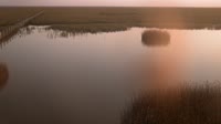Parco nazionale di Doñana - Caño de Rosalimán
