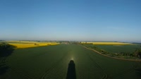 Miniaturansicht